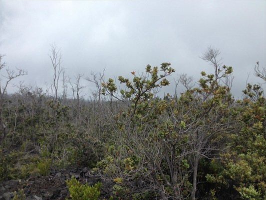 2nd image of Ohia Dr Lot 4