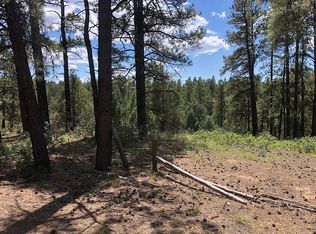 63 Quiet Ct, Pagosa Springs, CO 81147