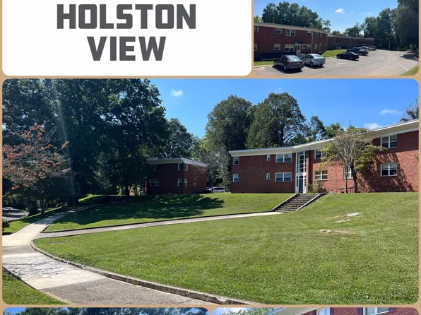198 Mesa Ln, Bristol, VA