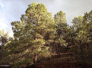 54 County Road North Rd #3313, Vernon, AZ 85940