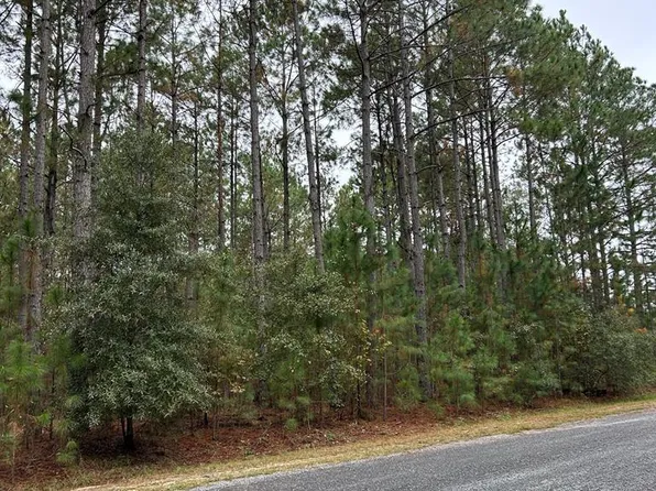 19 Whispering Pines Dr, Rochelle, GA 31079