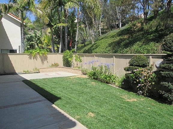 Rear yard - green belt view