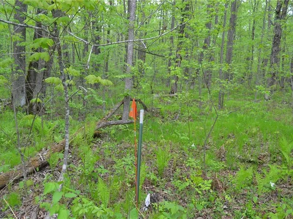 Tax ID #34696 Cornwall Road, Winter, WI 54896