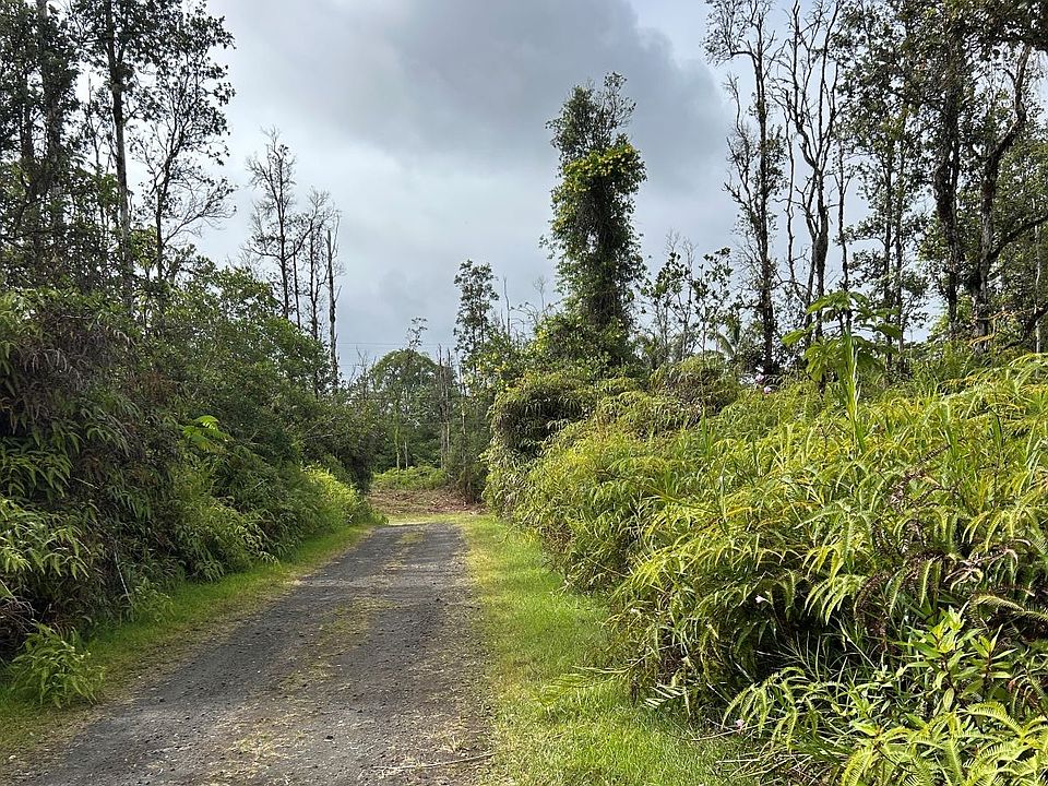 2nd image of GINGER RD