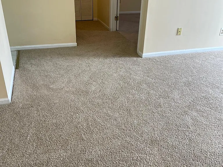 14 Cedar Ct — Photo 5
