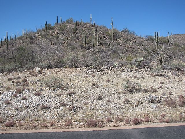 1st image of 1966 W Glowing Granite Pl