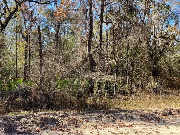 LOT 33 NW Wren Dr #33, Jennings, FL 32053