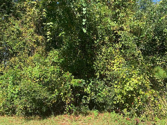 3rd image of 360 SW Woodleaf Ct