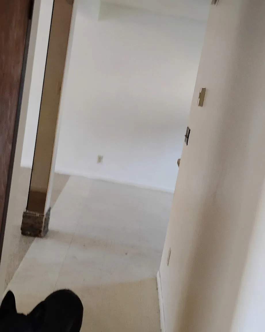 2 bed, $1,100 — Photo 2