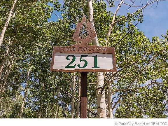 2nd image of 251 White Pine Canyon Rd