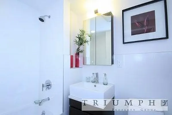 Rented by Triumph Property Group | media 28