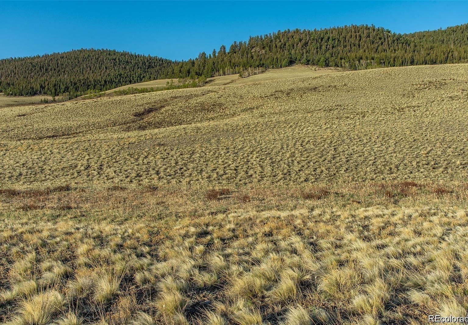 573 Rainbow Drive, Fairplay, CO 80440 MLS 4209183 Zillow