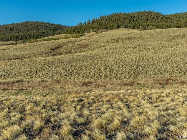 573 Rainbow Drive, Fairplay, CO 80440