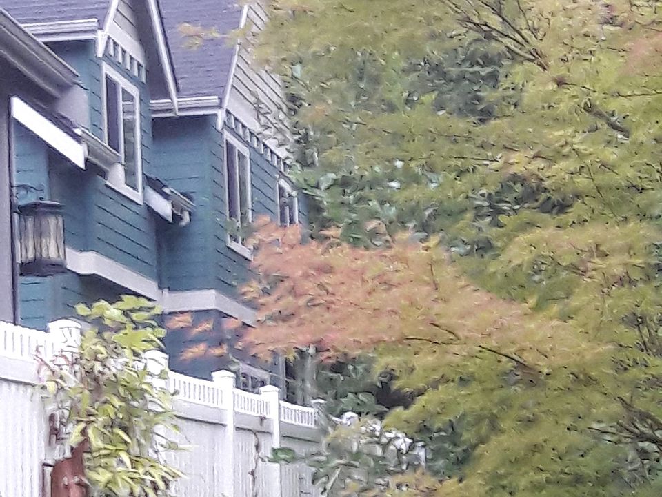 4813 Bering St Gig Harbor Wa 98332 Zillow