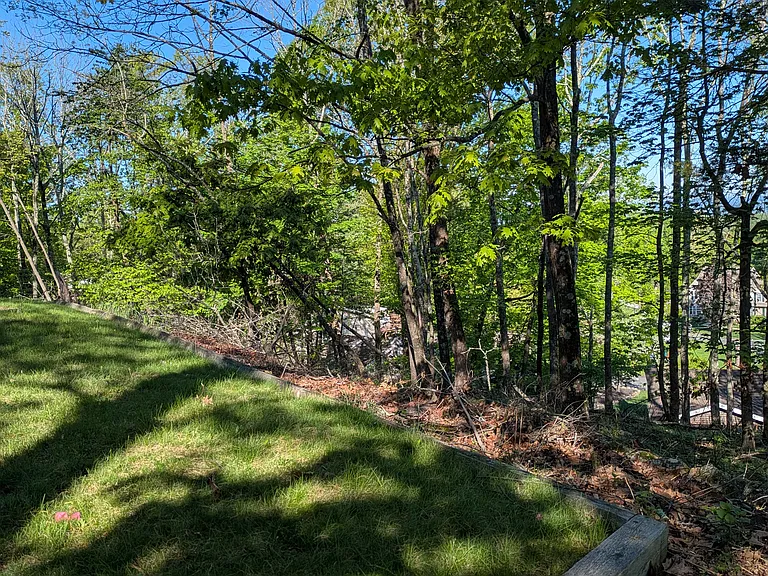 North view