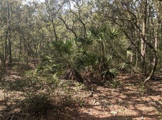 Manuel St, Webster, FL 33597