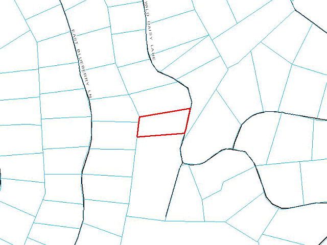 2nd image of 145 Wild Daisy Ln