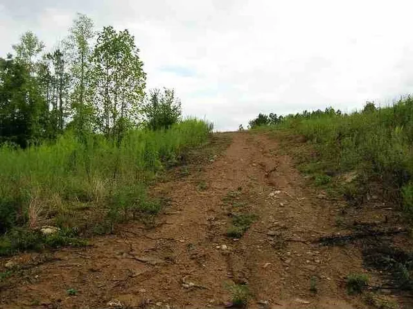 340 Friendship Church Rd, Delano, TN 37325