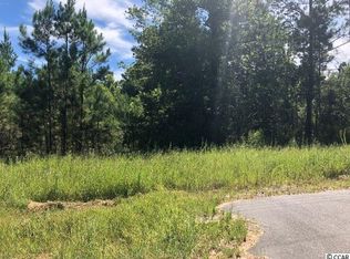 Tbd Hugo Rd, Conway, SC 29527