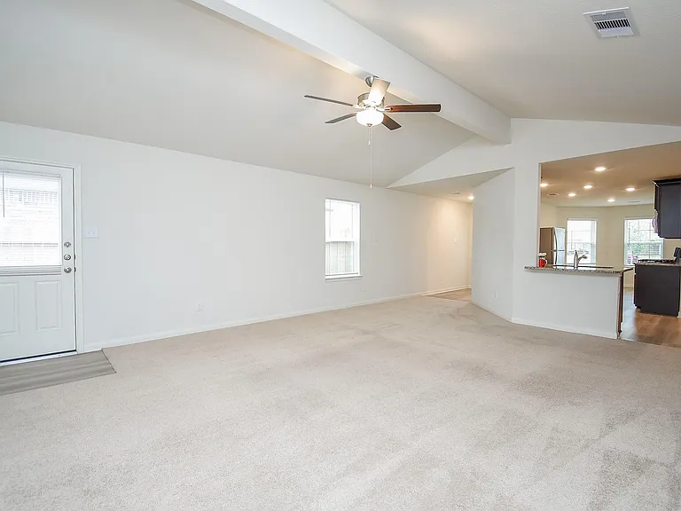 405 Texas Olive Dr — Photo 8