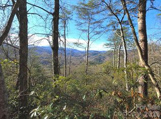 81 Lucerne Dr, Canton, NC 28716