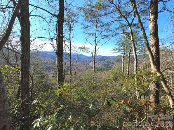 81 Lucerne Dr, Canton, NC 28716
