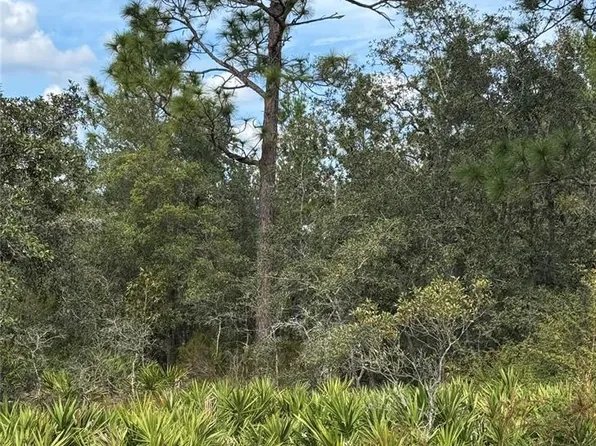 18099 RAMSEY ROAD LOT 14, WEEKI WACHEE, FL 34614