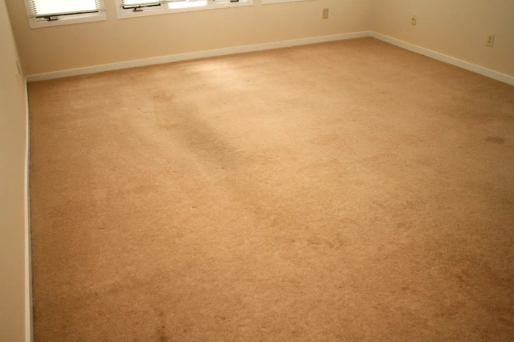 Great 2BR townhouse apartment in Mill Creek — Photo 3