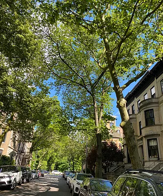 Rented by Compass | media 21