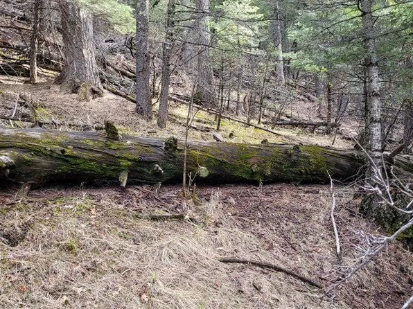 2 Cougar Rd, Cloudcroft, NM 88317