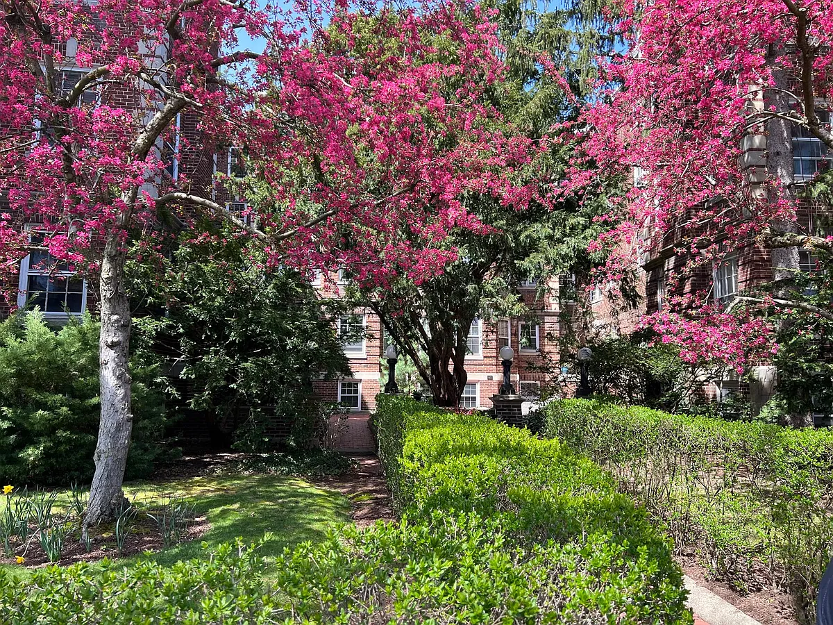 Spring exterior front view - 41 Linnaean St #36
