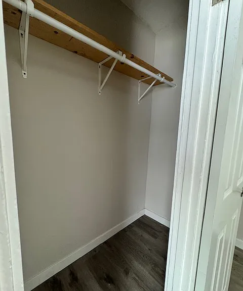 Bedroom closet