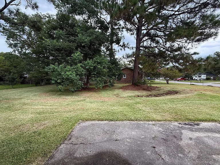 209 Longstreet St — Photo 30