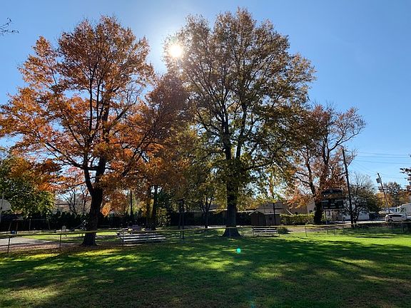 Gagliardo Park in the fall