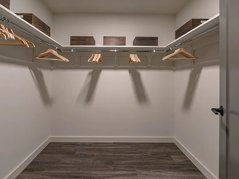 Spacious apartment bedroom closet