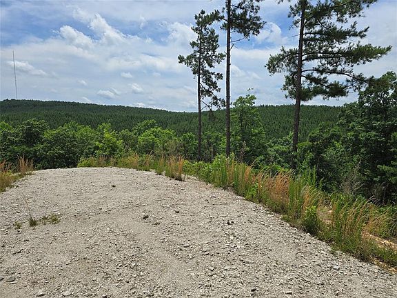 5th image of 343 Virginia Pine Pl #53