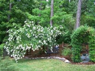 7912 Strawberry Meadows St, Raleigh, NC, 27613