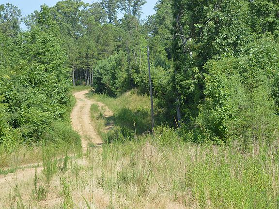 trails cut for access