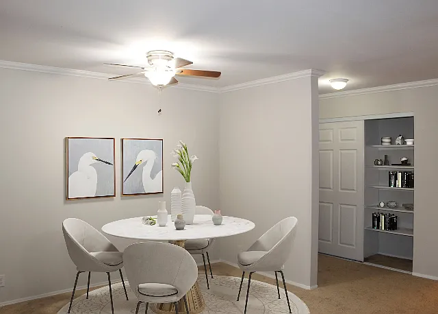 1 Bed 1 Bath