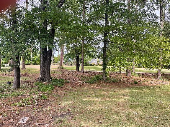 2nd image of 127 Wateree Dr
