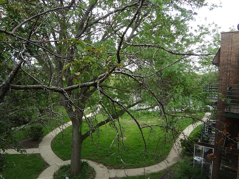 929 Casey Ct #6 — Photo 16
