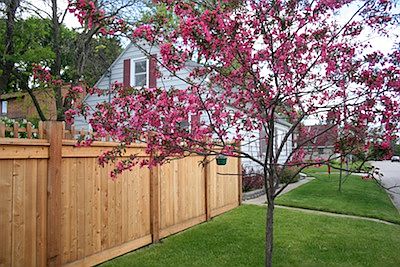 fence
