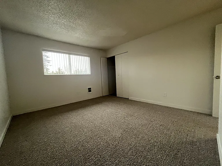 Mt. Pleasant Apartments — Photo 11