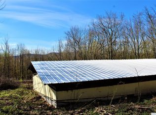 91 Pangman Rd, Jewett, NY 12444