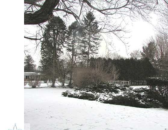 3rd image of 1474 Mercer Dr