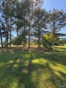 8044 Highway 53, Toney, AL, 35773