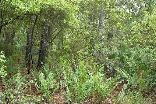 1st image of 27431 County Road 42