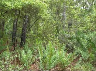 27431 County Road 42, Paisley, FL 32767