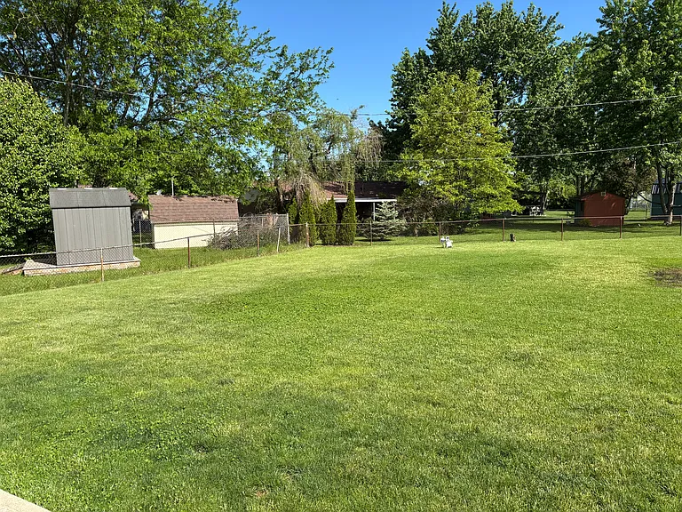 Back yard.
