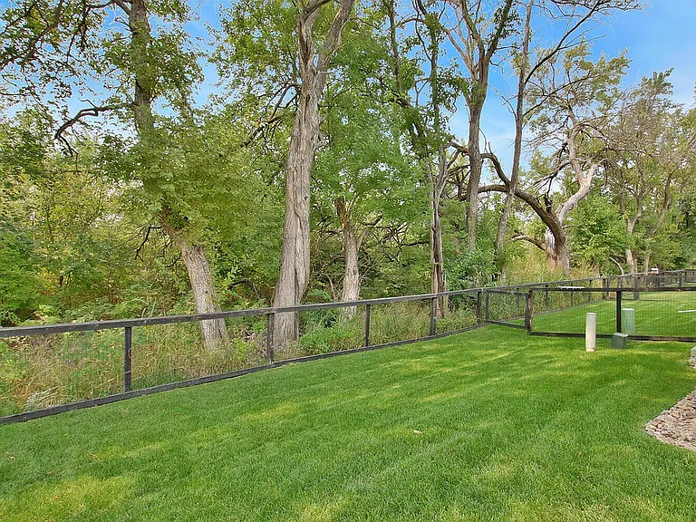 South - Trees Exterior